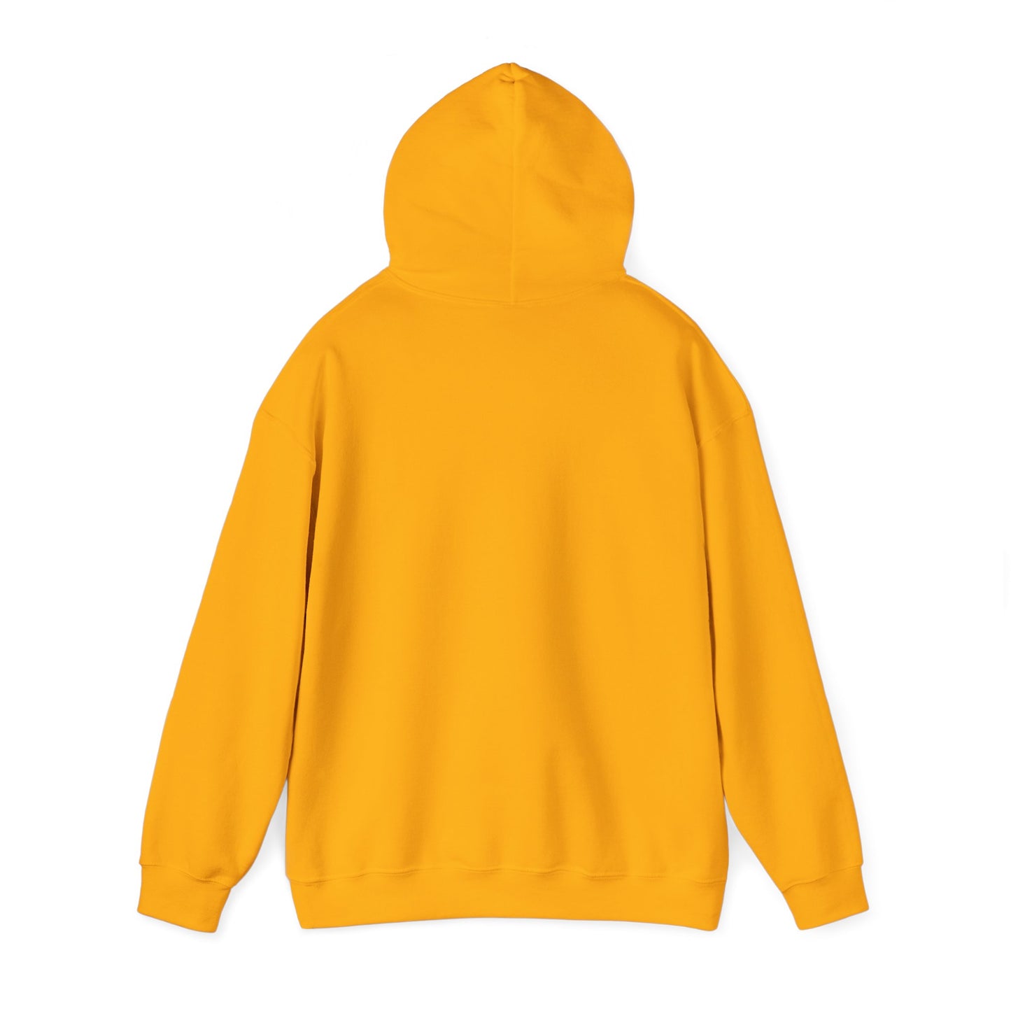 XS brand Hoodie