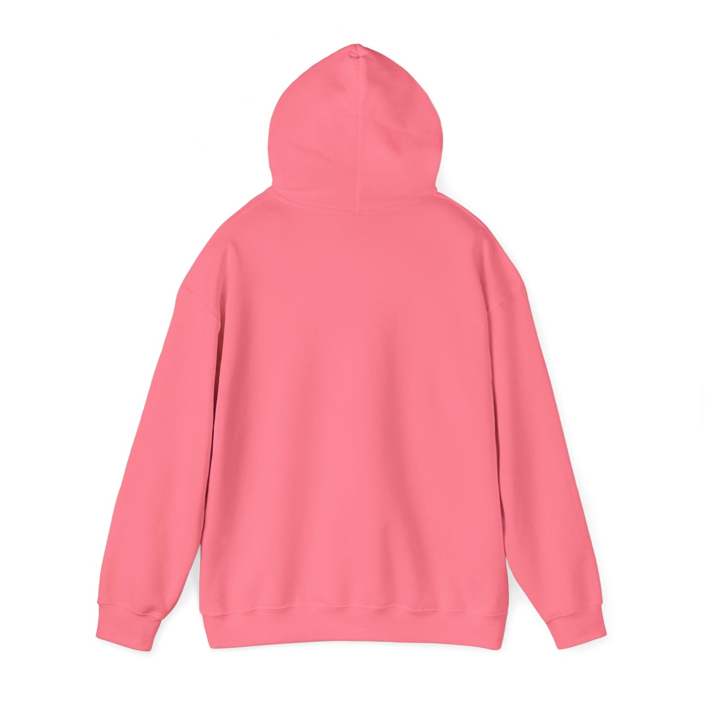 XS brand Hoodie